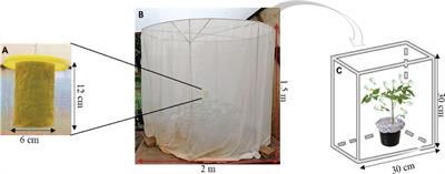 Efficacy of Metarhizium anisopliae and (E)–2–hexenal combination using autodissemination technology for the management of the adult greenhouse whitefly, Trialeurodes vaporariorum Westwood (Hemiptera: Aleyrodidae)